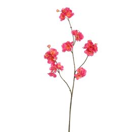 SMALL KANZAN BLOSSOM 85CM BEAUTY