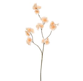 SMALL KANZAN BLOSSOM 85CM BEIGE