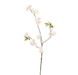 CHERRY BLOSSOM 86CM CREAM