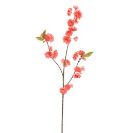 CHERRY BLOSSOM 86CM SALMON