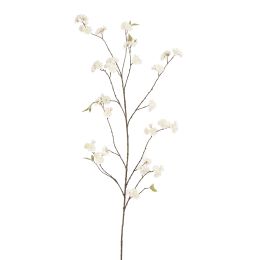 CHERRY BLOSSOM 164CM CREAM