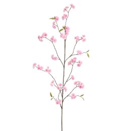 CHERRY BLOSSOM 164CM PINK