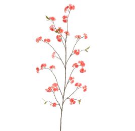 CHERRY BLOSSOM 164CM SALMON