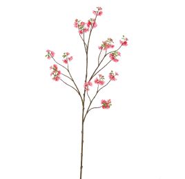 SAKORA 120CM BEAUTY