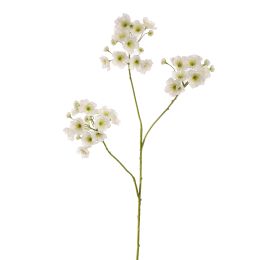PEACH BLOSSOM 100CM CREAM