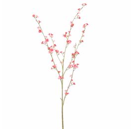 PEACH BLOSSOM 140CM BEAUTY