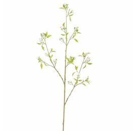 PEACH BLOSSOM 105CM CREAM