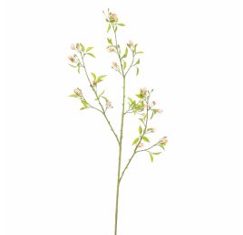 PEACH BLOSSOM 105CM PEACH