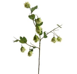 HOP FLOWER SPRAY 77CM GREEN