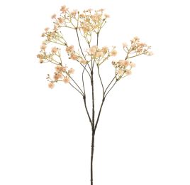 GYPSO SPRAY X10 70CM BEIGE