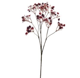 GYPSO SPRAY X10 70CM BURGUNDY