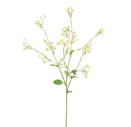 GYPSOPHYLE 75CM GREEN