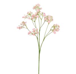GYPSO SPRAY X10 70CM PINK