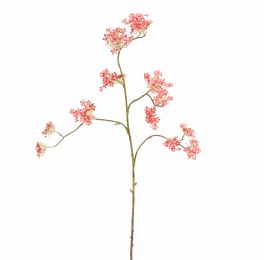 GIANT DILLE 140CM BEAUTY