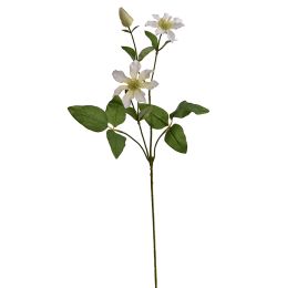 CLEMATIS SPRAY 70CM CREAM