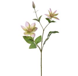 CLEMATIS SPRAY 65CM LILAC