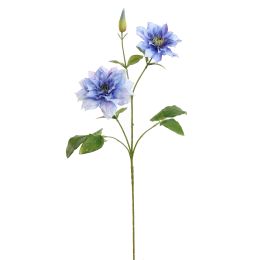 CLEMATIS DIAMANTINA 70CM BLUE