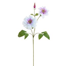 CLEMATIS DIAMANTINA 70CM LILA
