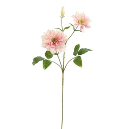 CLEMATIS DIAMANTINA 70CM PINK