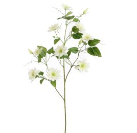 CLEMATIS DIAMANTINA 115CM CREAM