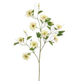 CLEMATIS DIAMANTINA 115CM GREEN