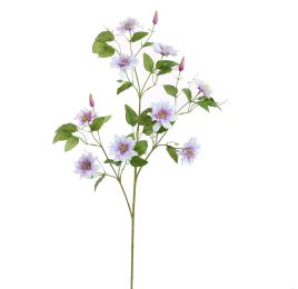 CLEMATIS DIAMANTINA 115CM LILA
