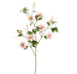 CLEMATIS DIAMANTINA 115CM PINK