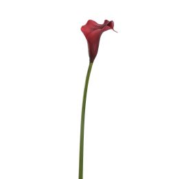 SMALL CALLA BURGUNDY