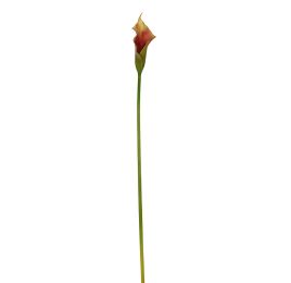 SMALL CALLA GREEN BROWN