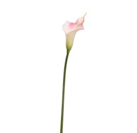 SMALL CALLA PINK