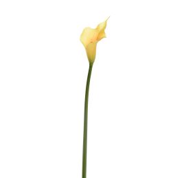SMALL CALLA YELLOW