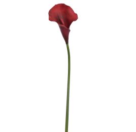 MEDIUM CALLA BURGUNDY