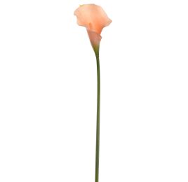 MEDIUM CALLA SALMON