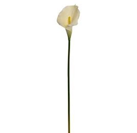 MEDIUM CALLA WHITE