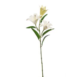 LILY X3 SPRAY 70CM CREAM