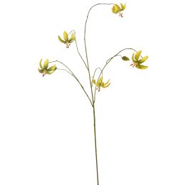 MARTAGON LILY 100CM YELLOW