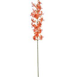 MARTAGON LILY 105CM ORANGE