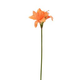 HIPPEASTRUM SPRAY 77CM ORANGE