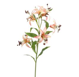 MINI LILY BRANCH 65CM CREAM PINK