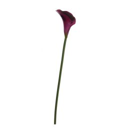 40260022 DKPU.jpg