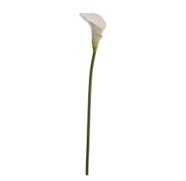 SINGLE MEDIUM CALLA 58CM CREAM