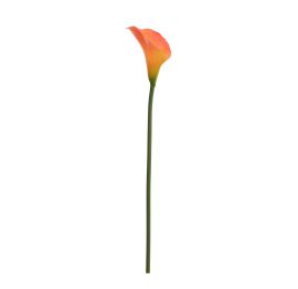 SINGLE MEDIUM CALLA ORANGE YELLOW
