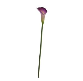 SINGLE MEDIUM CALLA 58CM PURPLE GREEN