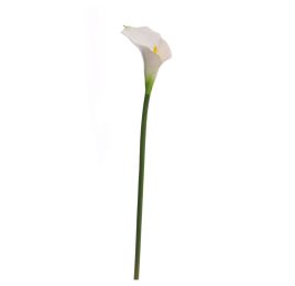 SINGLE CALLA 72CM CREAM