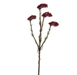 STATICE X4 65CM BURGUNDY