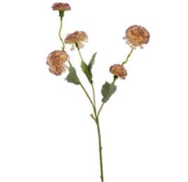 40270004-ma.jpg