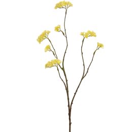 LIMONIUM 70CM YELLOW