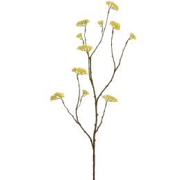 LARGE LIMONIUM 110CM YELLOW
