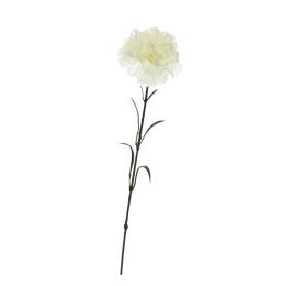 SINGLE CARNATION 60CM CREAM