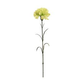SINGLE CARNATION 60CM GREEN